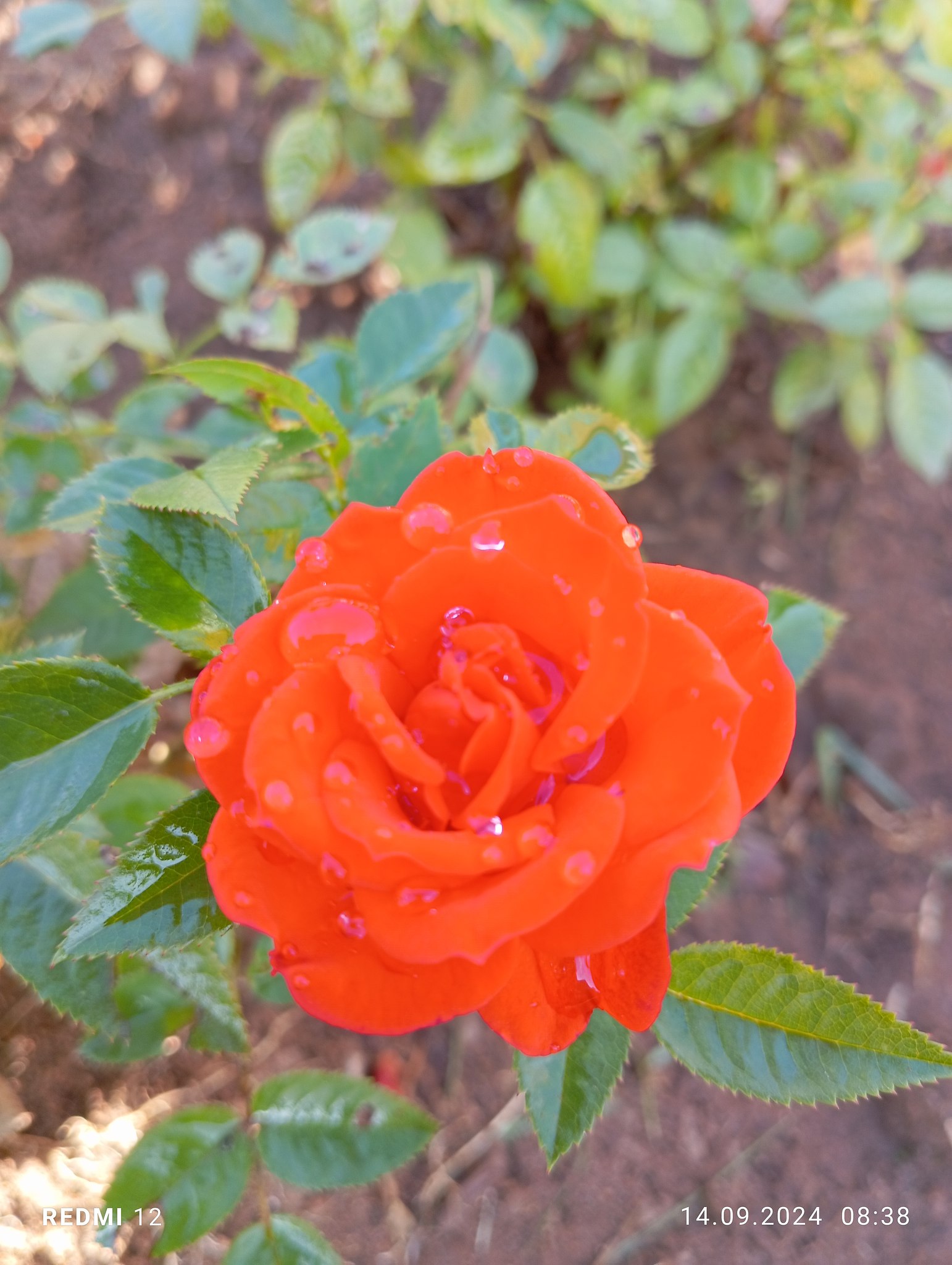  - 17  2024  13:20 - 3