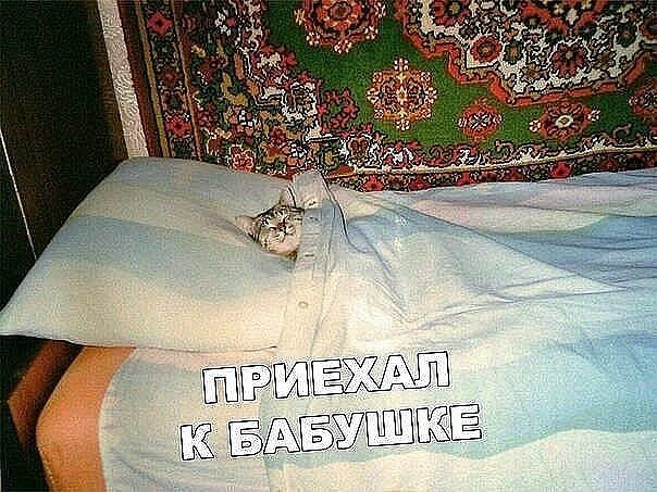  - 26  2023  14:00