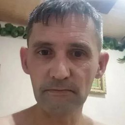 ����, ����������, 43 ����