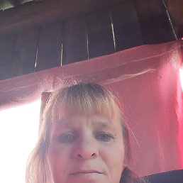 , 44 , 