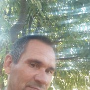 , 46 , 