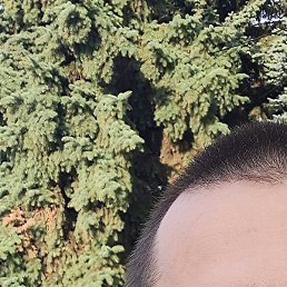 �����, ����, 37 ���