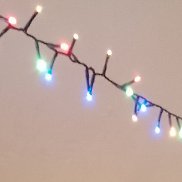 ������, 39 ���, ������