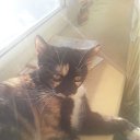 ���� ������, ������, 36 ��� - ��������� 14 ������� 2024 � ������ ���� ����������