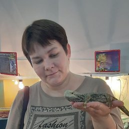 ,  , 41 