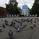  , , 54  -  10  2024    