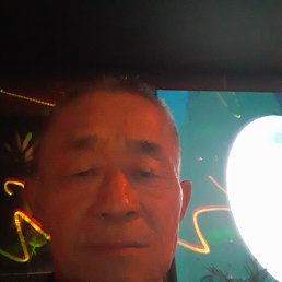 , 67, 