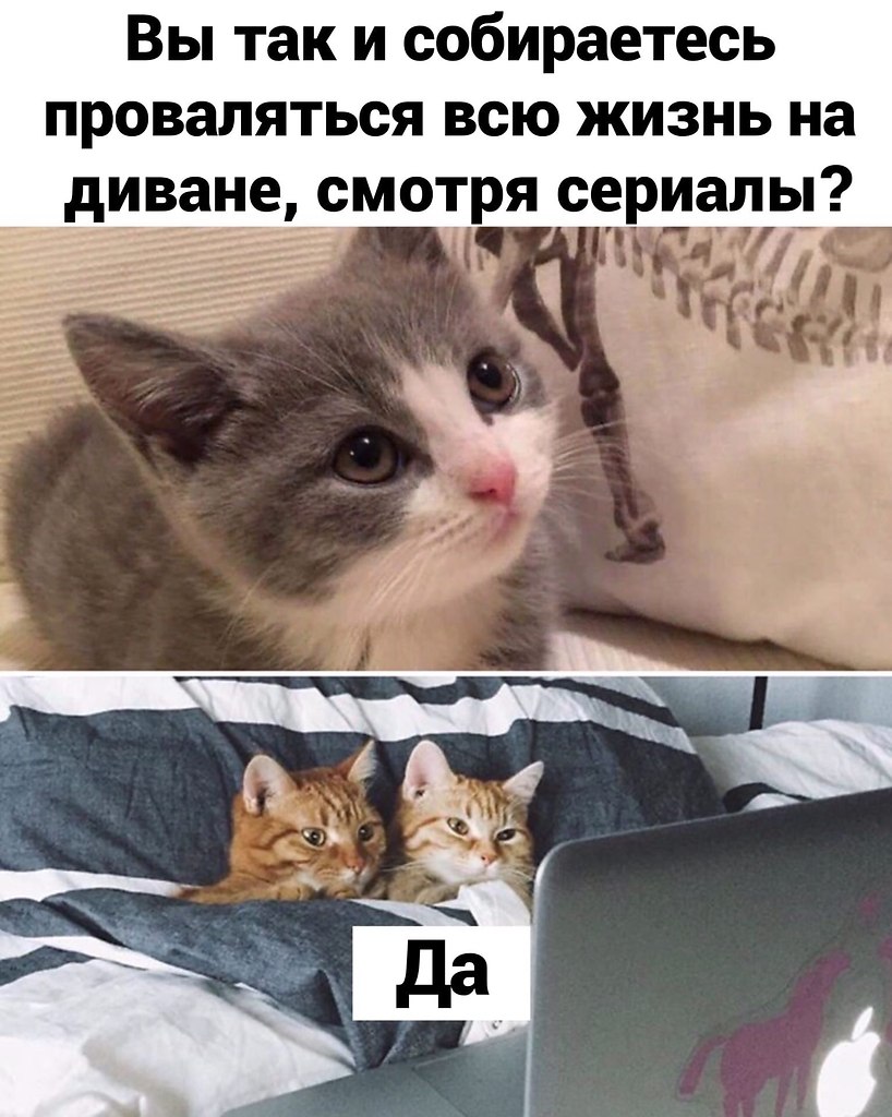 ��� ���� � ����� �� �� - 29 ������ 2026 � 12:25 - 2