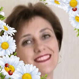 �, �������, 50 ���