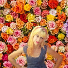 ������� ��������, ���������, 43 ����