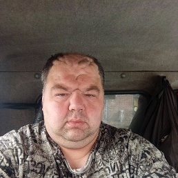 , 41, 