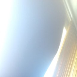 ������, ������, 65 ���