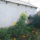 ���� �����, �����, 46 ��� - ��������� 12 ������� 2024 � ������ ���� ����������