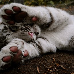 ���� ����, ����� - ��������� 19 ������� 2025