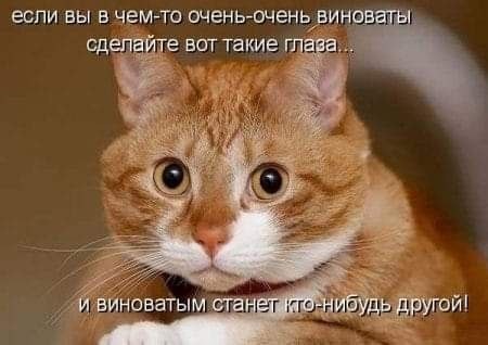   - 25  2025  15:38