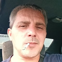 ��������, �����������, 37 ���