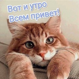 �����, �������, 59 ���