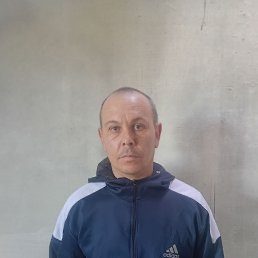 ����, 37 ���, ����