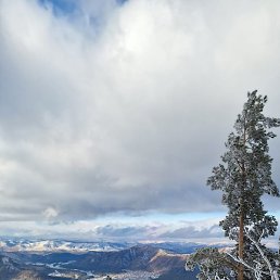 ������!, �����������, 52 ����