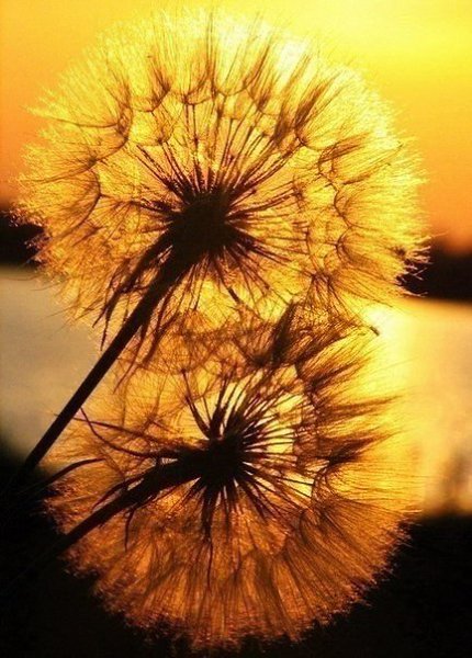 Если вы бы поняли, как сильны ваши мысли – вы бы никогда не думали негативно. - 2