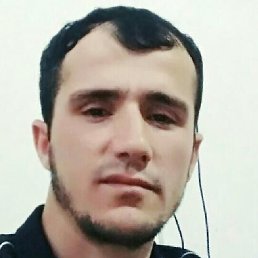 ������, �����, 33 ����