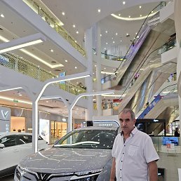 , 61, 