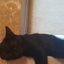 ���� �� ������� ���� ����������