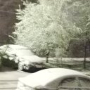 ���� �������, ����, 70 ��� - ��������� 28 ������ 2026 � ������ ������ ��������