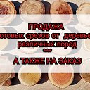 ���� ��������� ��������, ������-��-����, 38 ��� - ��������� 29 ������ 2026 � ������ ������ ��������