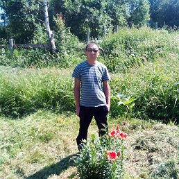 ������, ��������, 41 ���