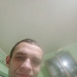 �����, 37 ���, ���������