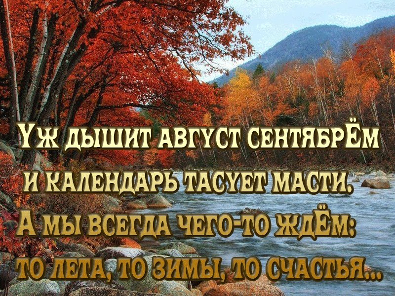   - 29  2025  12:53