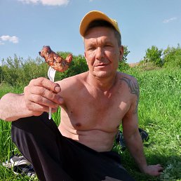 , 44, 
