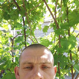 , 43, 