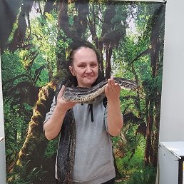 ���� ���, ������ ��������, 44 ���� - ��������� 23 ����� 2026