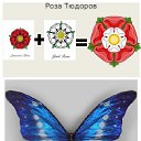 ���� ������ Teto (Tigerly Lily), �����, 31 ��� - ��������� 27 ������ 2026 � ������ ������ ��������