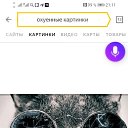 ���� ������, ����������, 28 ��� - ��������� 9 ������� 2025 � ������ ���� ����������