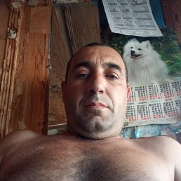 , 41, 