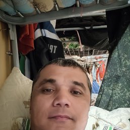 , 36, 