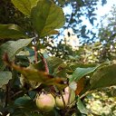 ���� O!, ������, 67 ��� - ��������� 13 ������ 2026 � ������ ����������