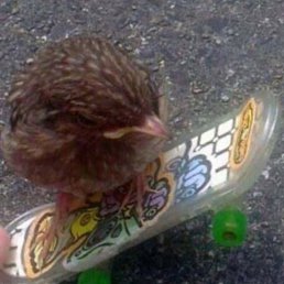 ����, ������, 37 ���