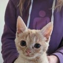 ���� Andrey, ������, 43 ���� - ��������� 27 ������ 2023 � ������ ���� ����������