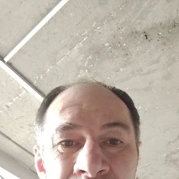 , 33, 