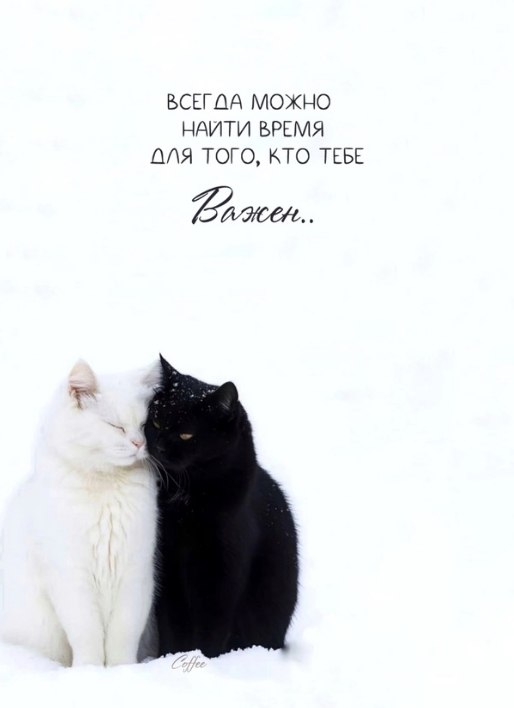 Moonlight - 10  2025  00:20