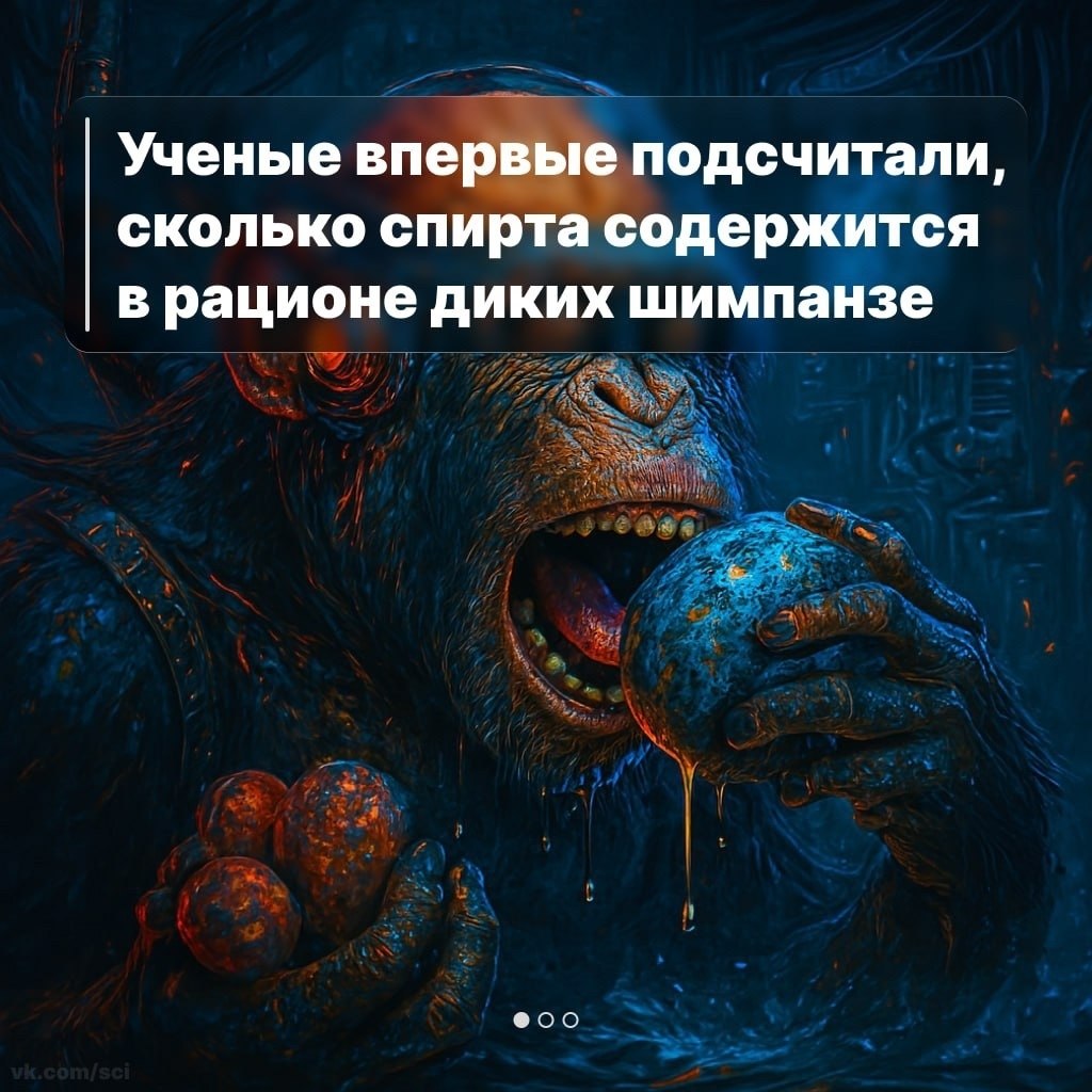 Путешествия | Туризм | Отдых на 5 - 22 сентября 2025 в 09:55