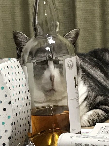 :   .: - 8