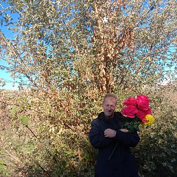 �������, 58 ���, ������