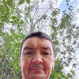 , 43, 