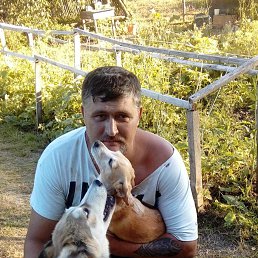Mebvebi, 53, 