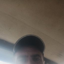 , 34, 